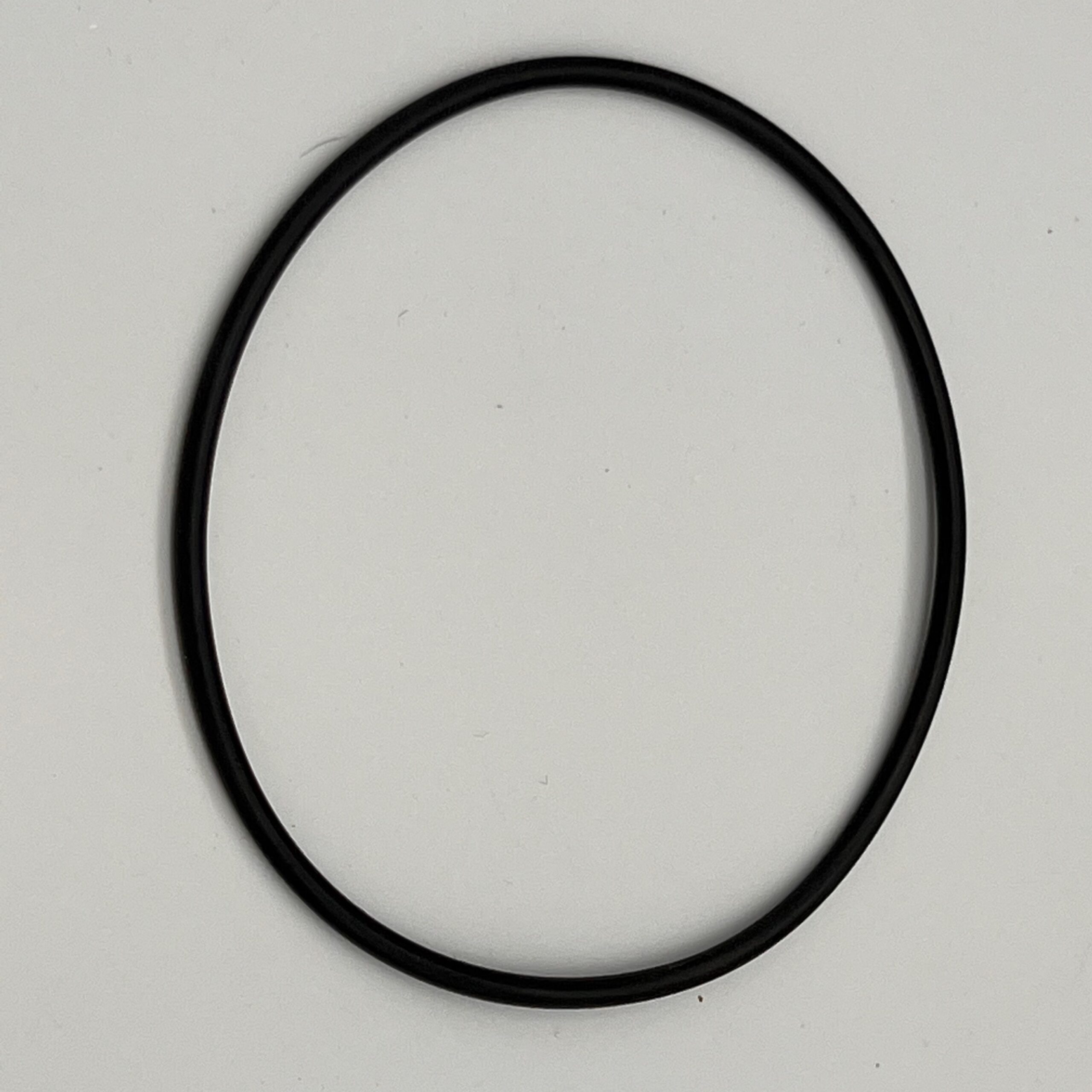 Bezel O-Ring